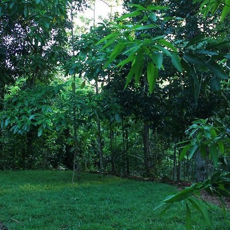 Abberny Villa Midigama East Exterior foto
